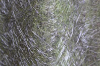 Bredon fibreglass roof work